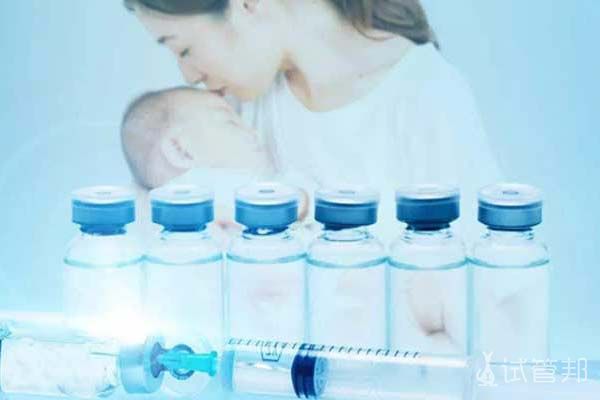专业同志代孕公司：伊宁助孕机构之旅”